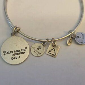Stamps / Hallmarks ~ ALEX AND ANI + Energy 2014 Bangle Charm BRACELET